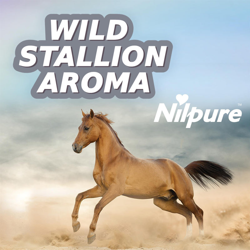 Nilco Nilpure Wild Stallion Scented Hand Sanitiser - 5L x 12 with Free Nilco Sanitising Station