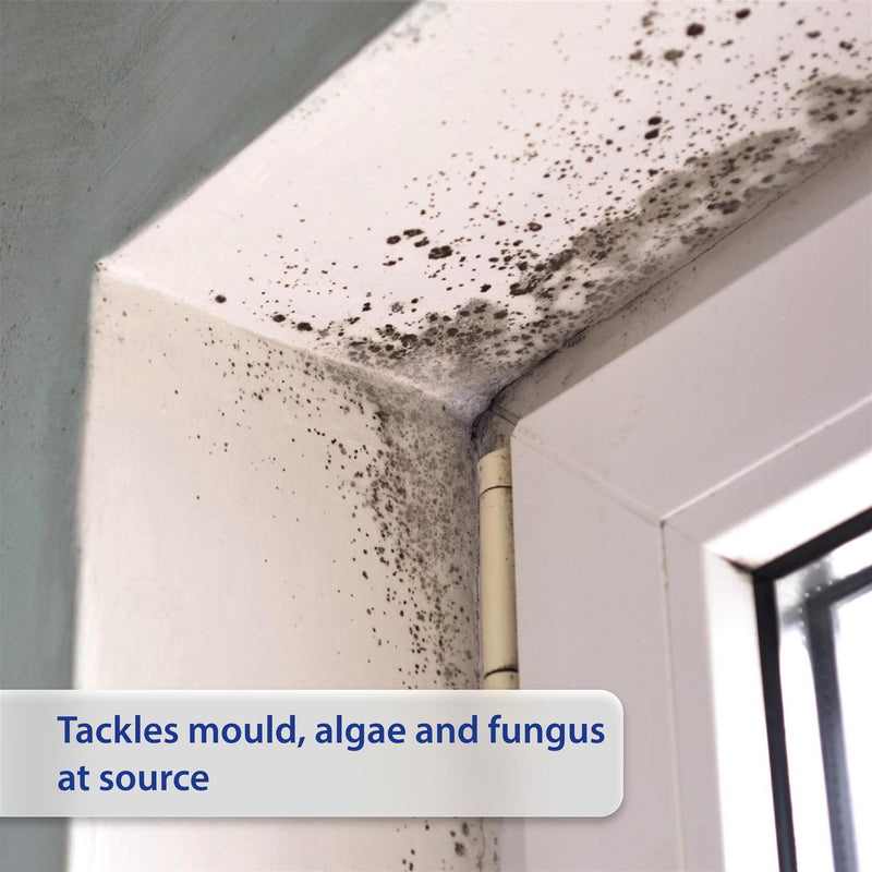 Nilco Angel Clear - Mould & Algae Remover (Indoor & Outdoor) 1L
